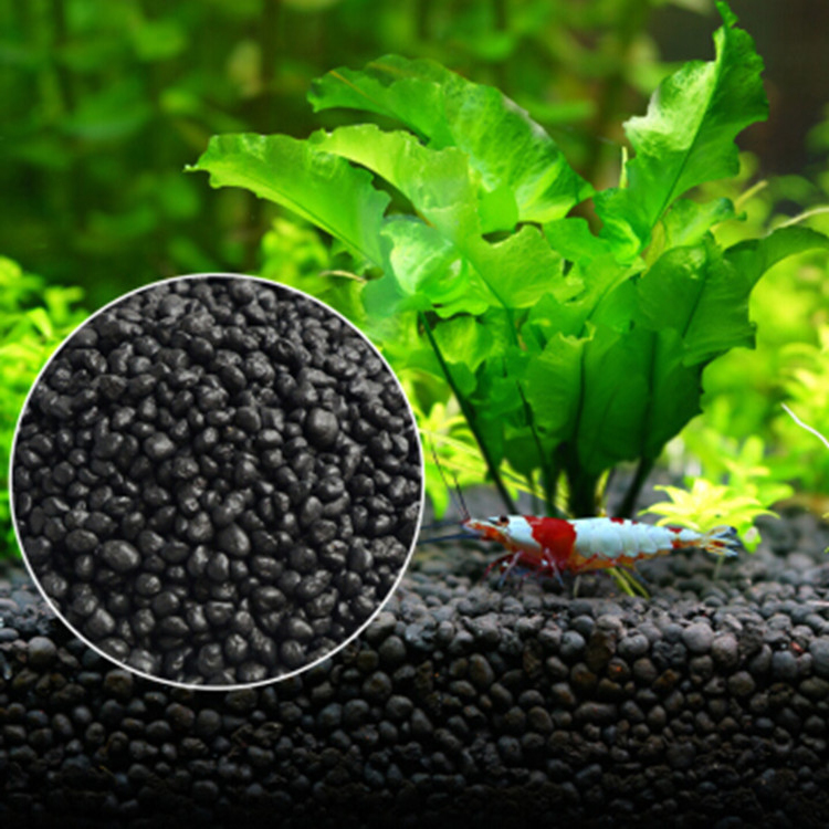Aquarium Planted Tank - Bể Cá Cảnh Vật Có Hạt