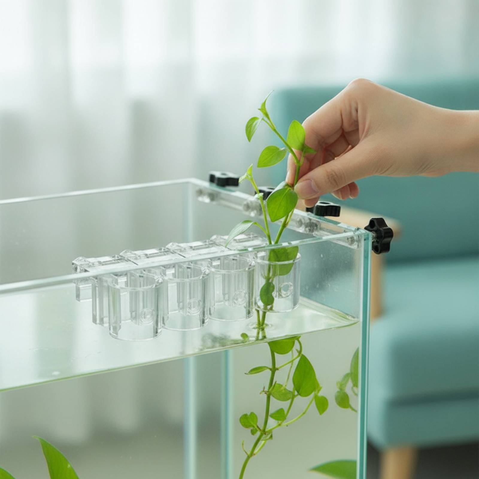6 Pieces Aquarium Planter Clea - đánh giá và giá Aquarium Planted Aquarium