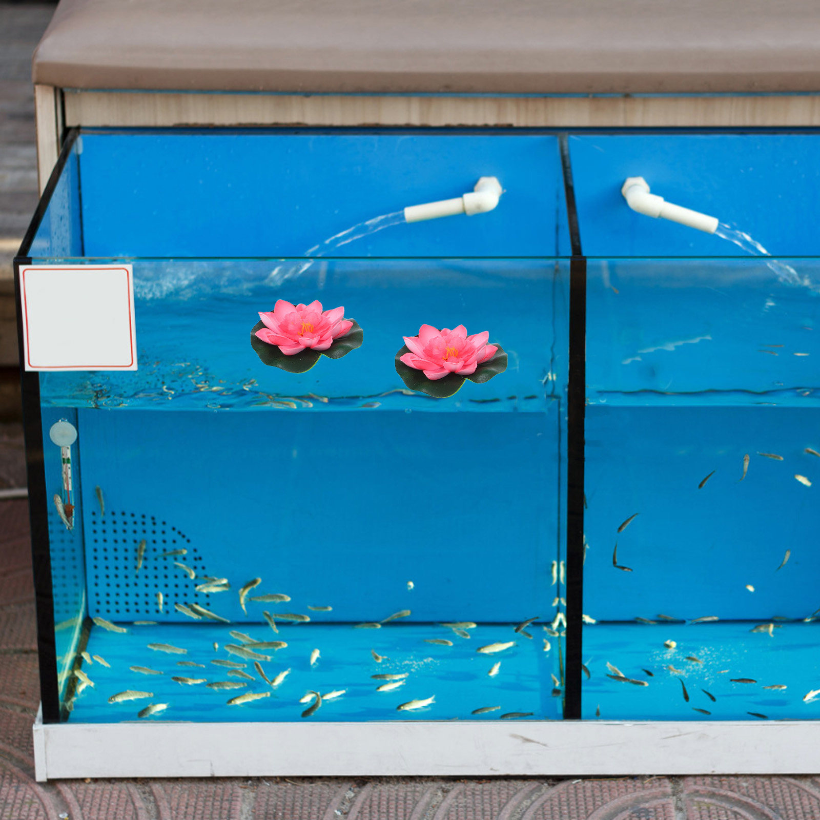 12Pcs Artificial Floating Wate - đánh giá và giá Aquarium Planted Aquarium