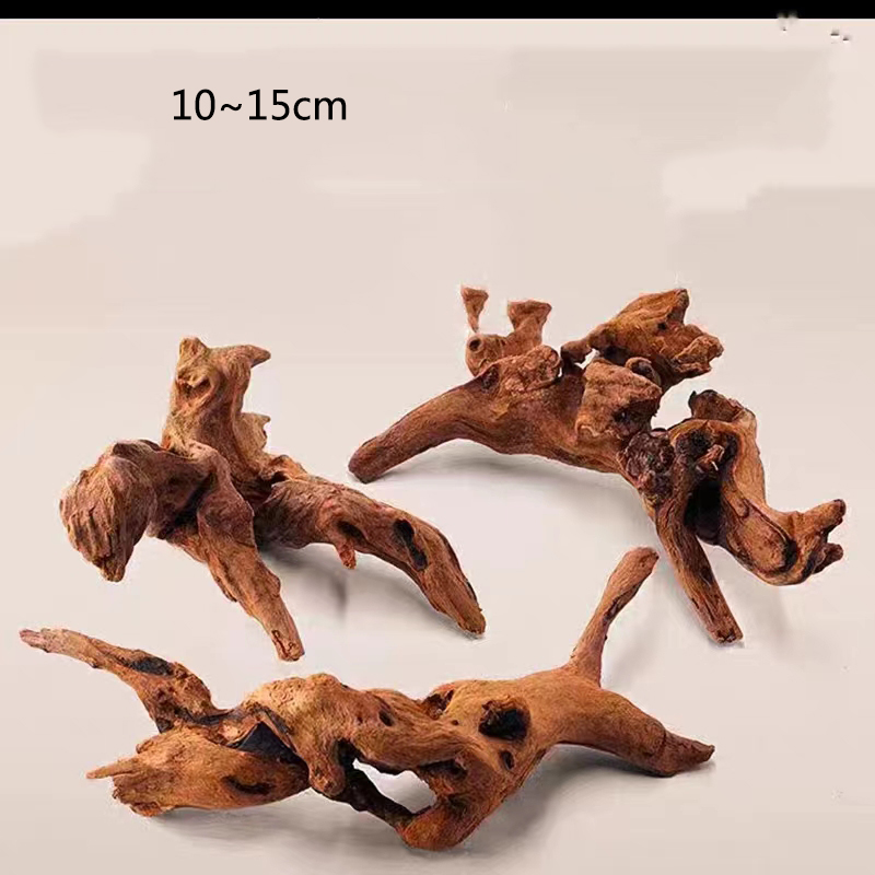 Natural Tree Trunk Aquarium De - đánh giá và giá Aquarium Plant Root Tabs