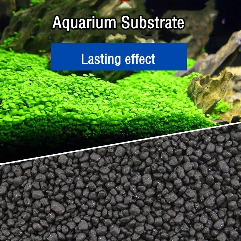 500G Cá Nước Vật Có Khả Năng S - đánh giá và giá Aquarium Plant Nutrients