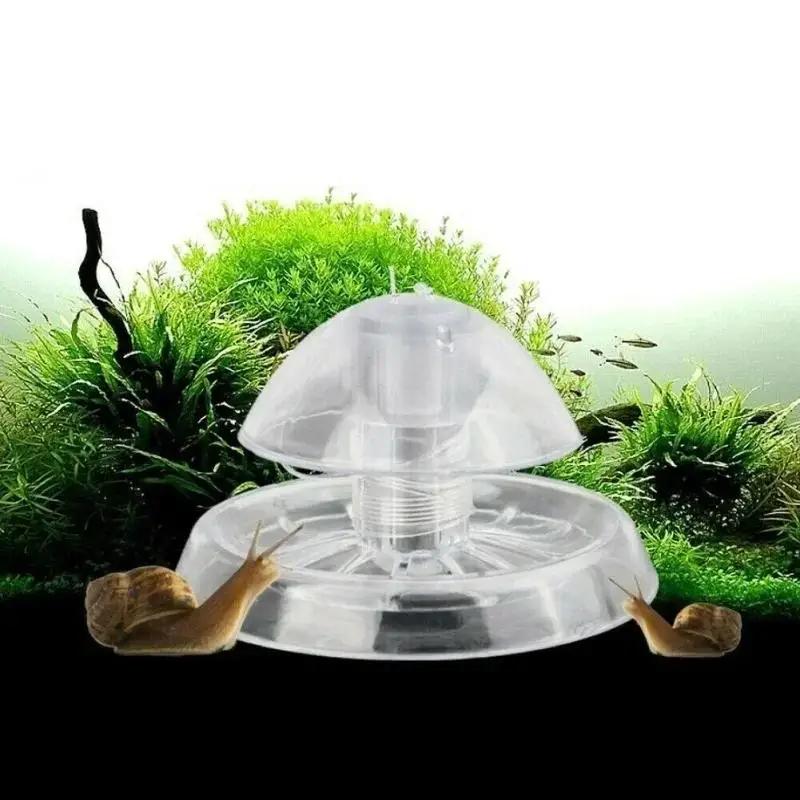 2026 New 6/8CM Clear Plastic S - đánh giá và giá Aquarium Planted Tank