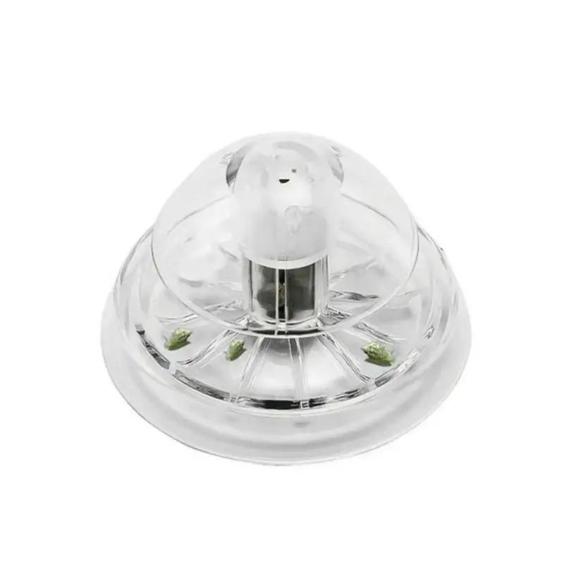 2026 New 6/8CM Clear Plastic S - đánh giá và giá Aquarium Planted Tank