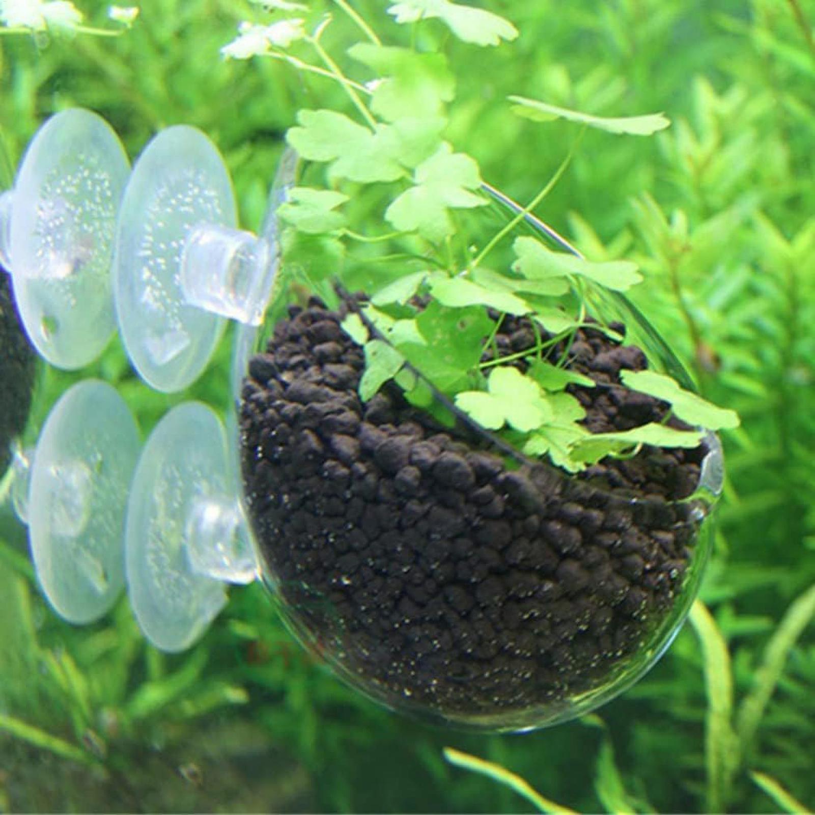 Aquarium Plant Holder Glass Aq - đánh giá và giá Aquarium Plant Dip