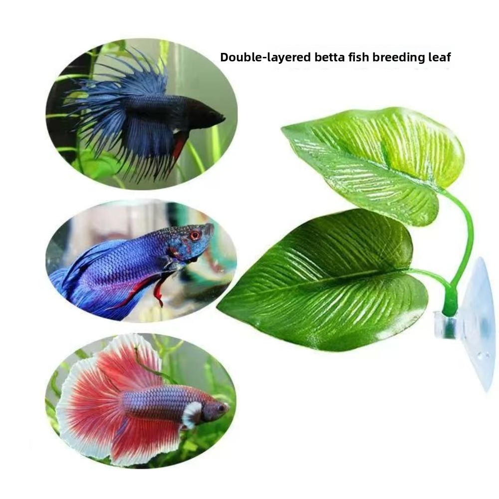 1/3/5/10 Betta Aquarium Artifi - đánh giá và giá Aquarium Planted Tank Setup