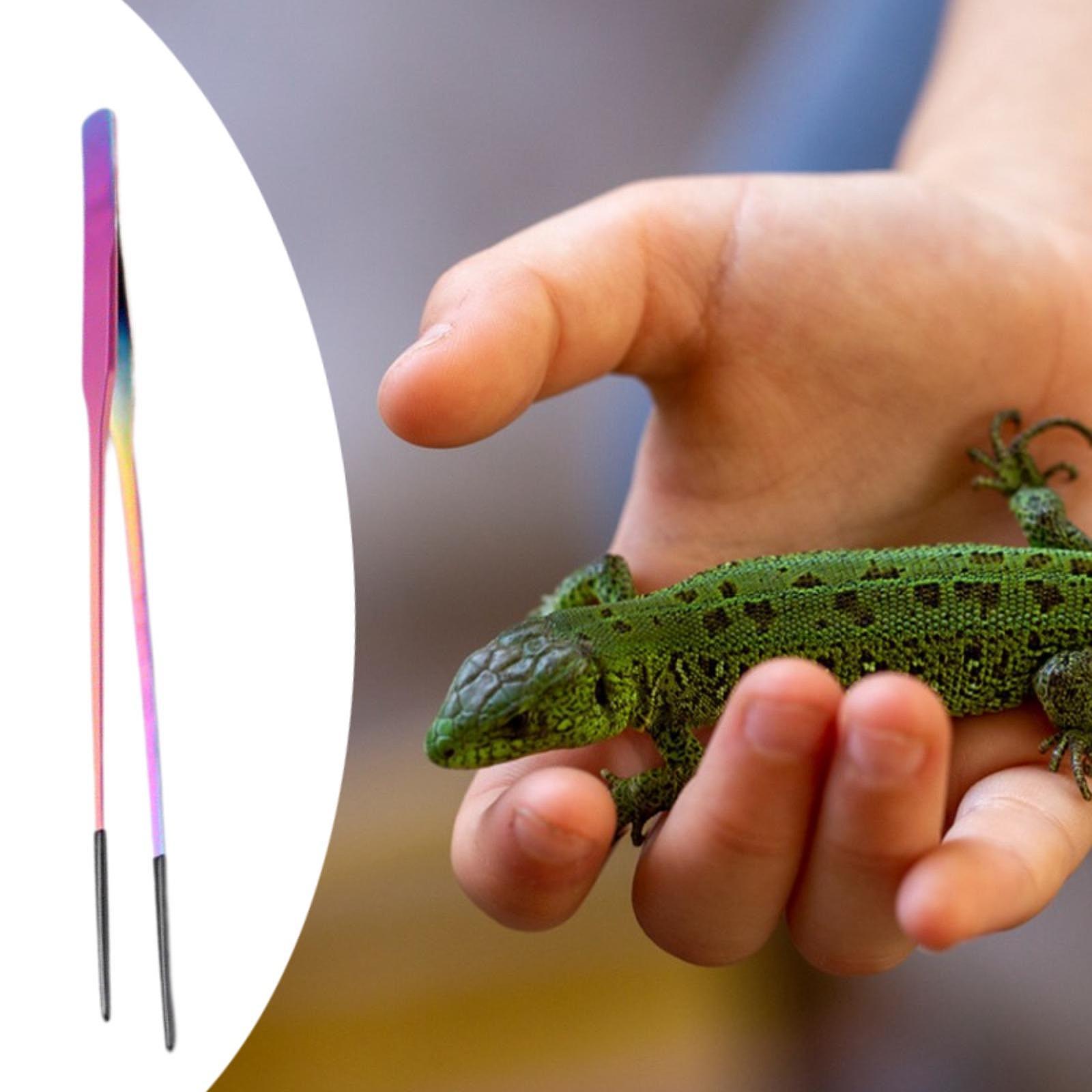 Reptile Feeding Tongs Soft Tip - đánh giá và giá Planted Aquarium Tips