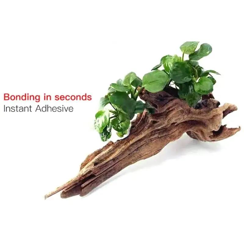 2PCS 5PCS /3/ Moss Clear Glues - đánh giá và giá Aquarium Plant Glue