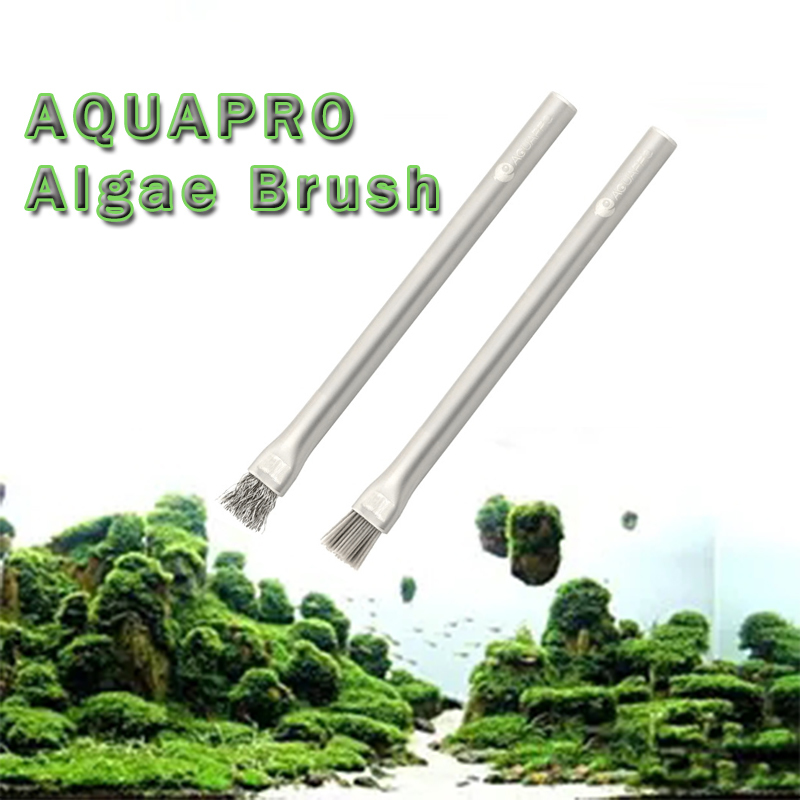 Aquapro Algae Brush Aquarium A - đánh giá và giá Planted Aquarium Hard Water