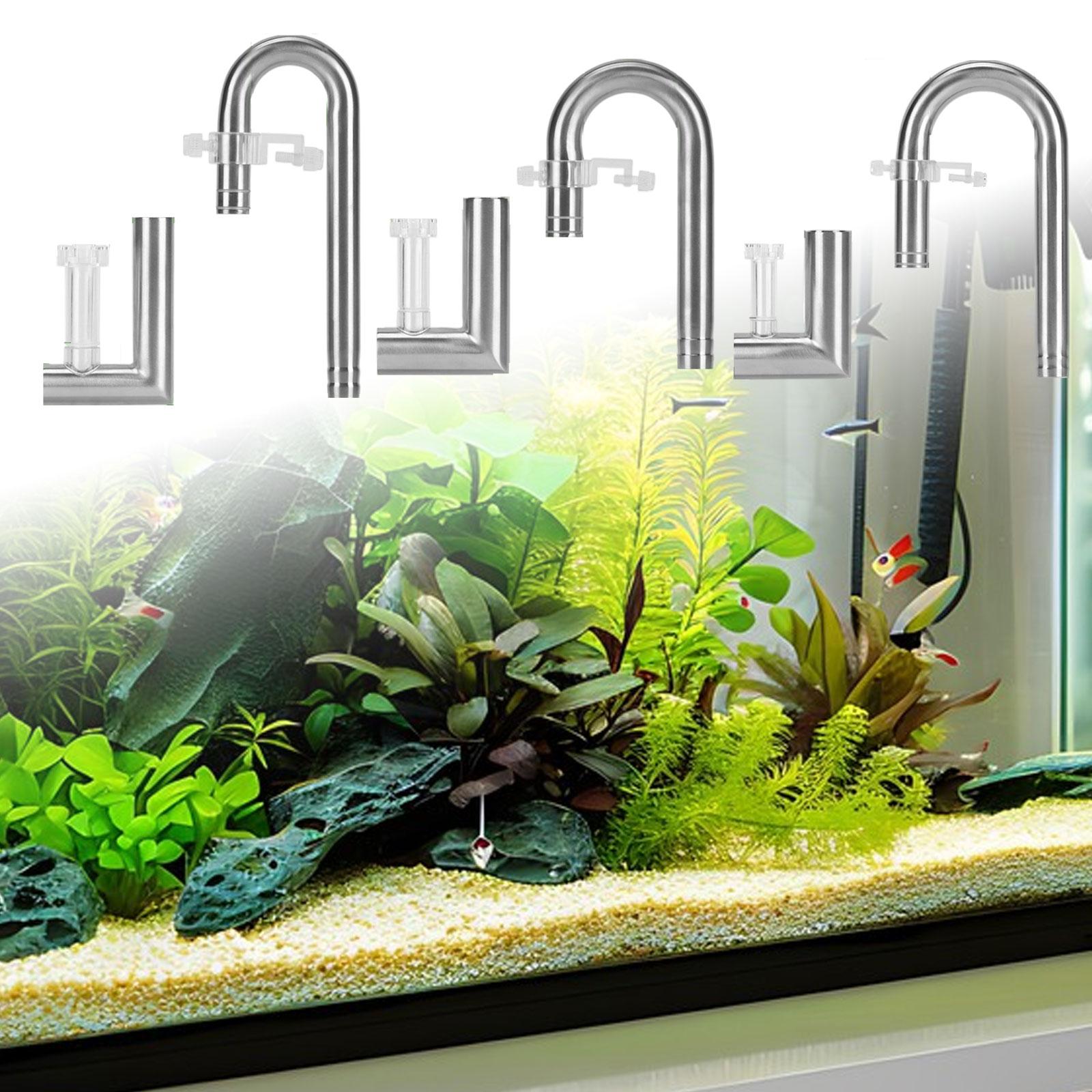 Aquarium Lily Tube Planted Aqu - đánh giá và giá Planted Aquarium Youtube