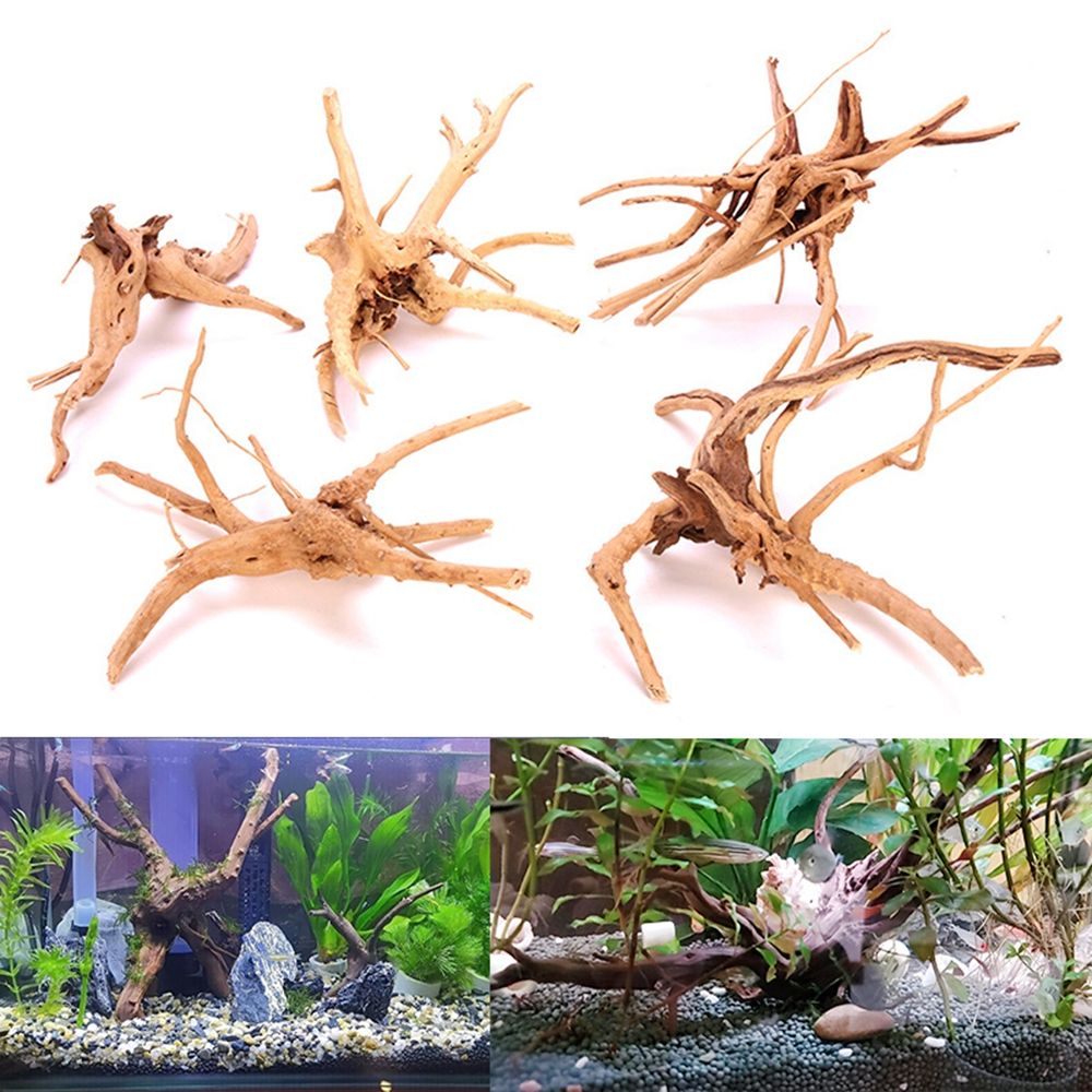 1 Pcs Wood Natural Trunk Drift - đánh giá và giá Aquarium Plant Root Tabs