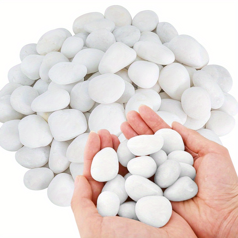 200/400g White High Polished N - đánh giá và giá Aquarium Planted Aquarium
