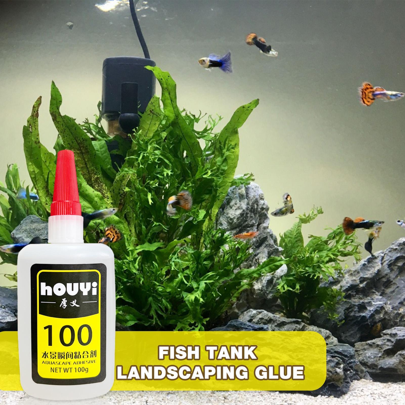 50/100g Clear Instant Glue Aqu - đánh giá và giá Aquarium Plant Glue