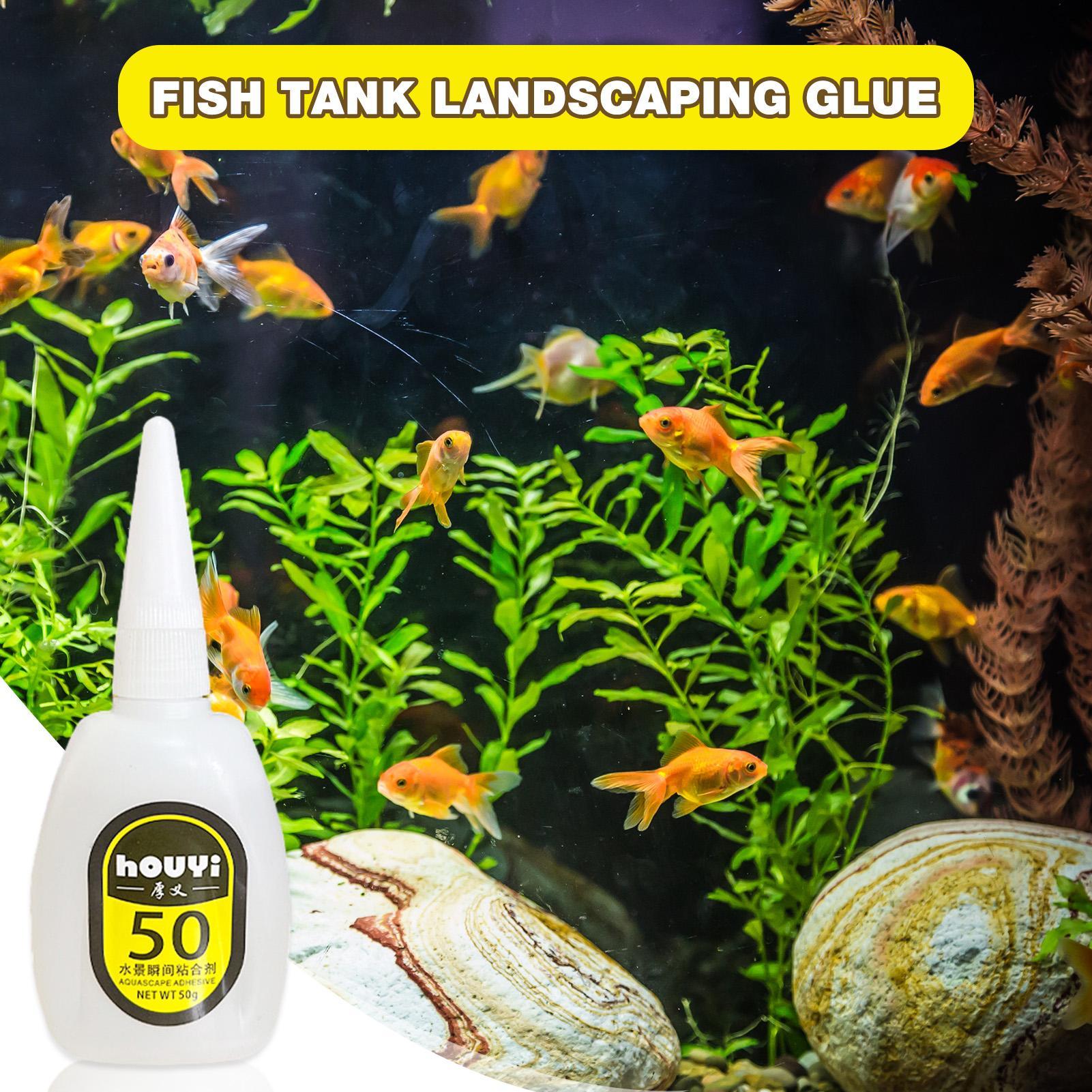 50/100g Clear Instant Glue Aqu - đánh giá và giá Aquarium Plant Glue