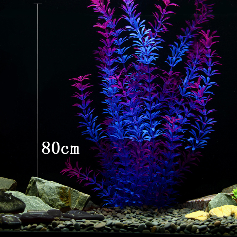 100Cm Thực Vật Nhiệt Đới Lớn N - đánh giá và giá Aquarium Planted Tank
