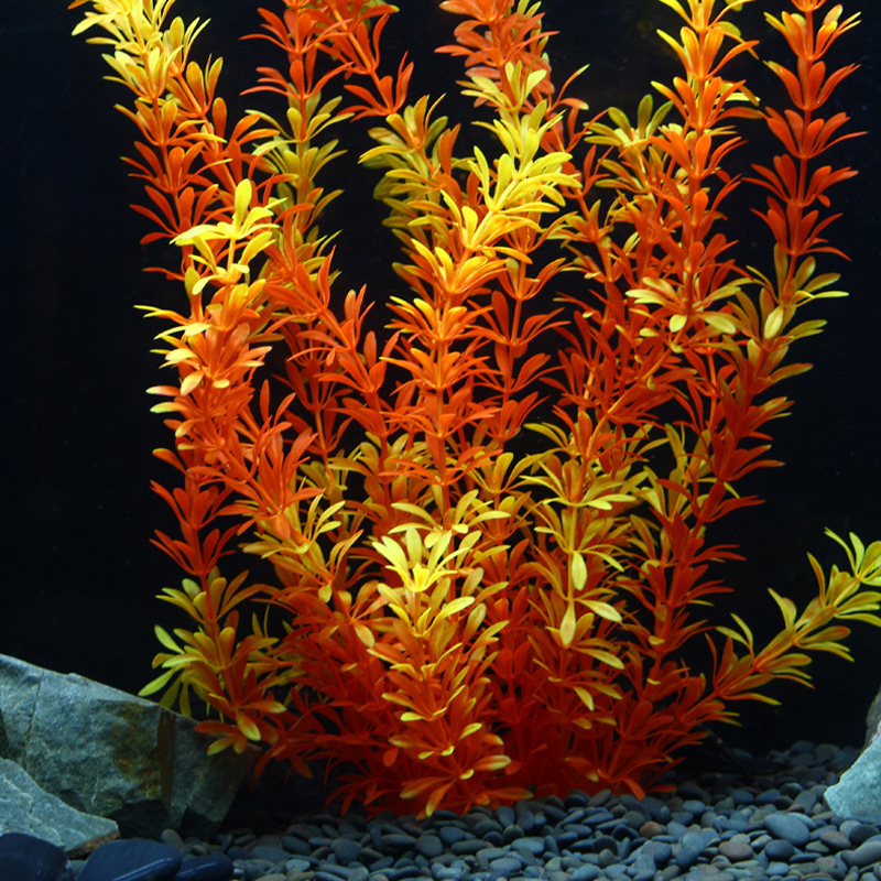 100Cm Thực Vật Nhiệt Đới Lớn N - đánh giá và giá Aquarium Planted Tank