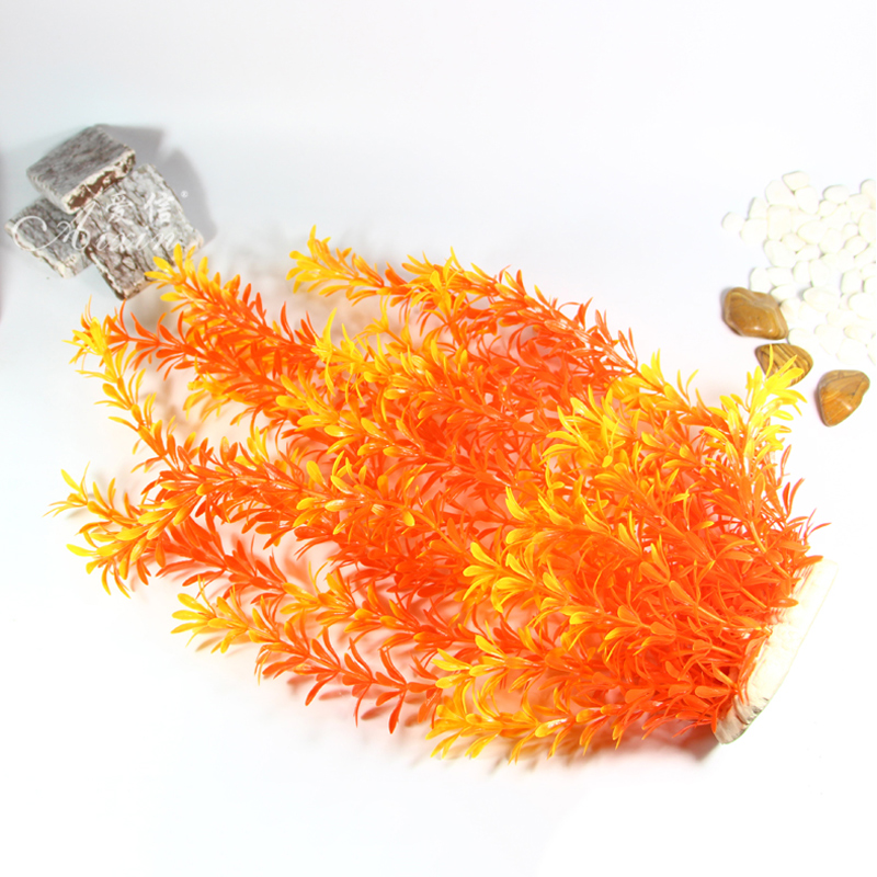 100Cm Thực Vật Nhiệt Đới Lớn N - đánh giá và giá Aquarium Planted Tank