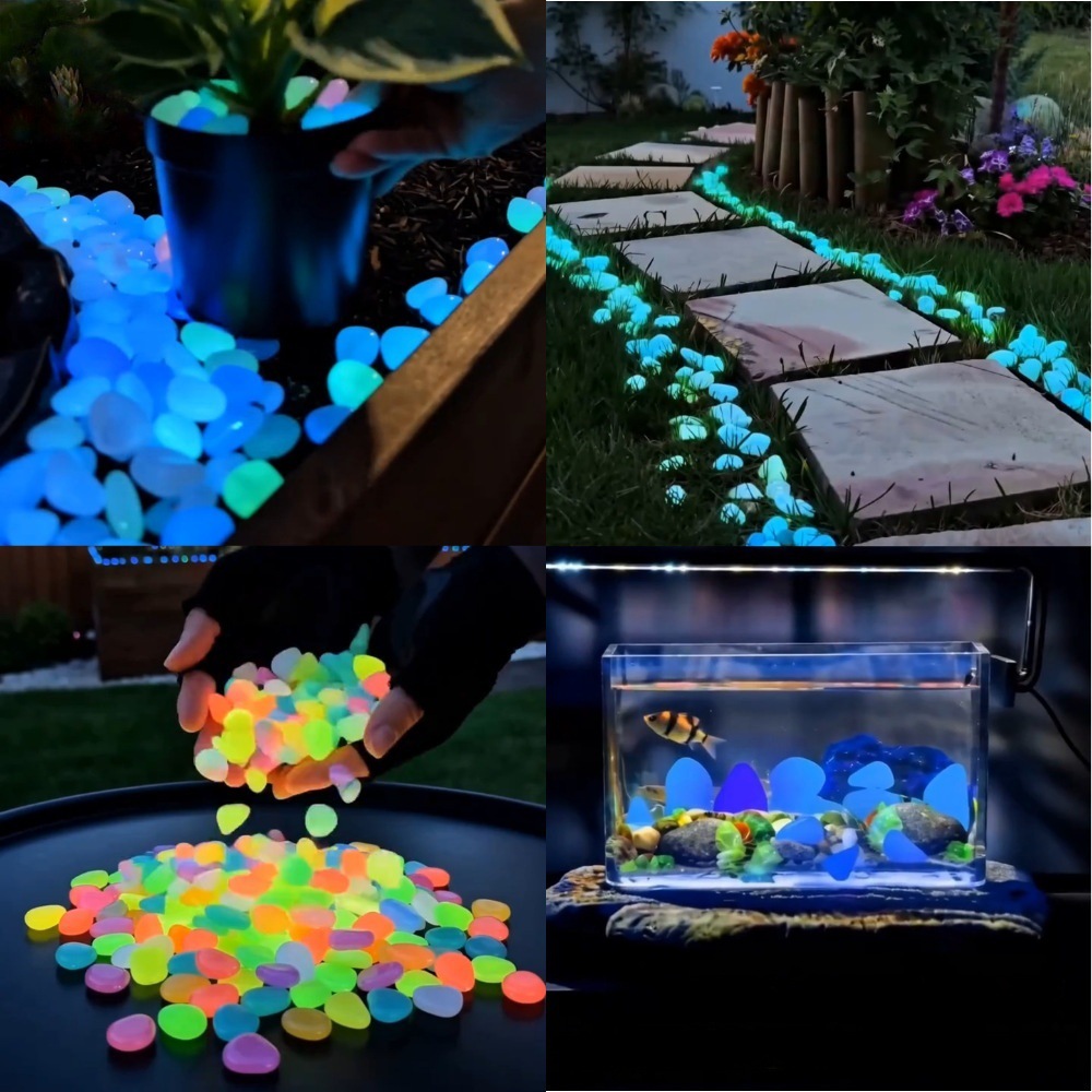 Colorful Glow In The Dark Lumi - đánh giá và giá Aquarium Planted Aquarium
