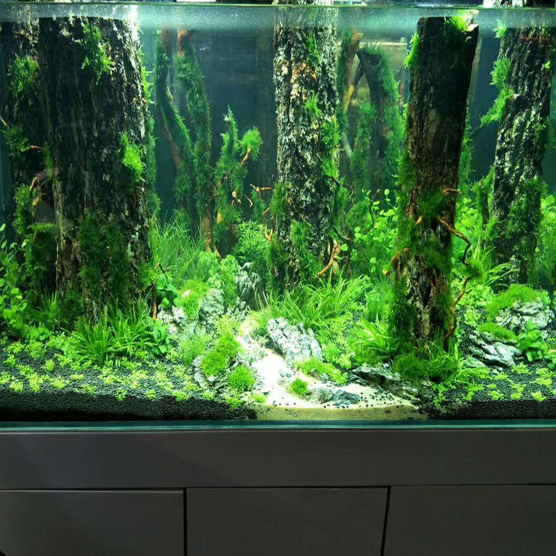 Mô Phỏng Thân Cây Chìm Gỗ Lũa  - đánh giá và giá Aquarium Plant Root Tabs