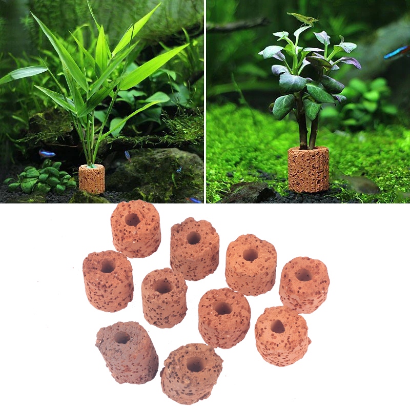 10Pcs Mini Aquatic Plant Ring  - đánh giá và giá Aquarium Planted Tank Setup