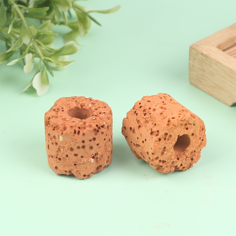 10Pcs Mini Aquatic Plant Ring  - đánh giá và giá Aquarium Planted Tank Setup