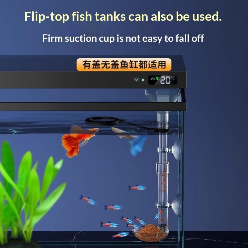 With Suction Cups Prevents Foo - đánh giá và giá Planted Aquarium Youtube