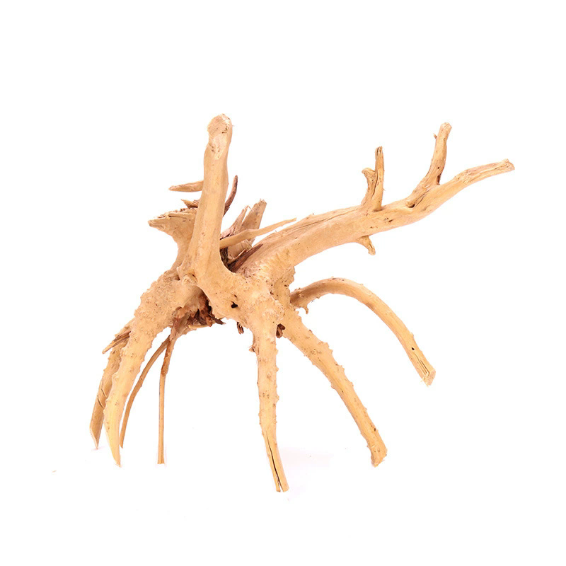 4PCS Natural Wooden Fish Tank  - đánh giá và giá Aquarium Plant Root Tabs