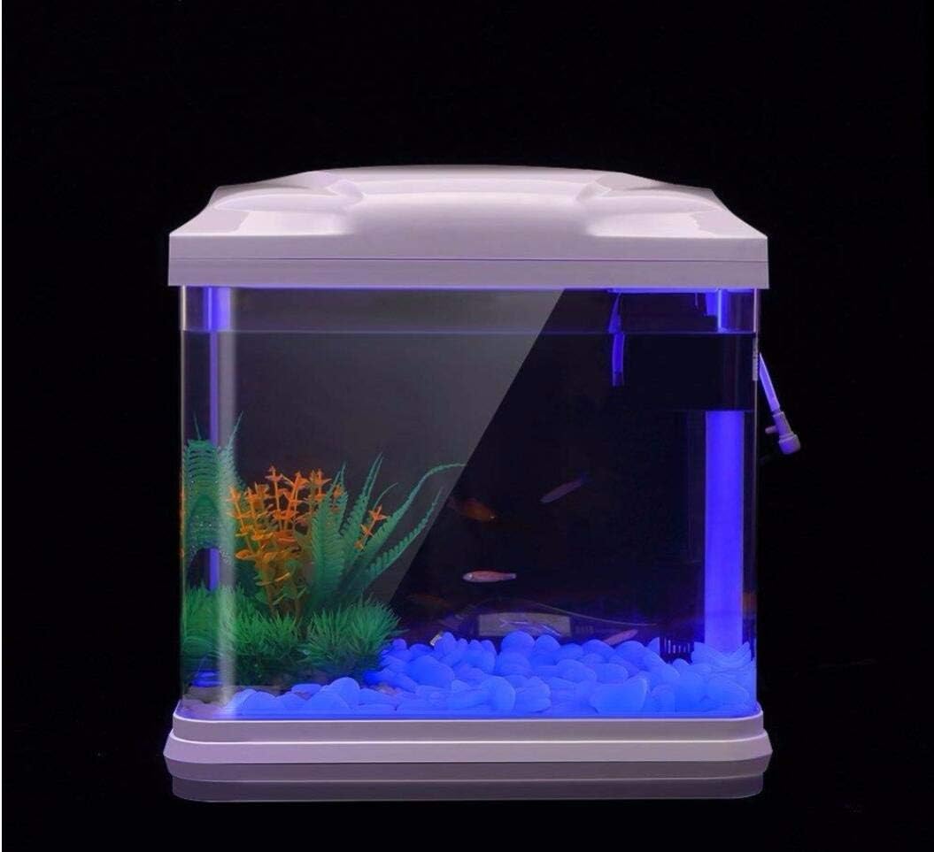 Fish Tank Rocks Glow Blue Pebb - đánh giá và giá Aquarium Planted Tank