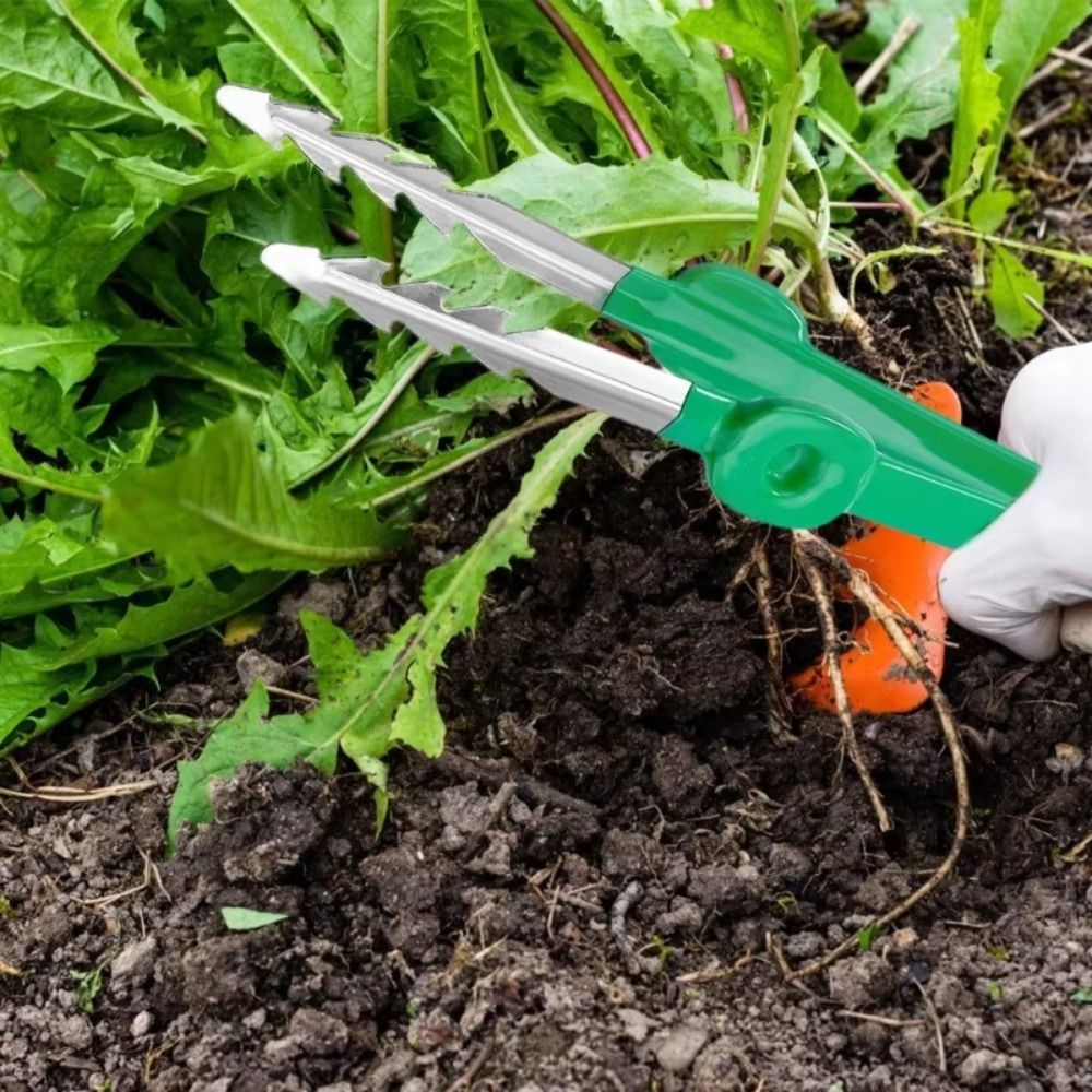 Stainless Steel Gardening Twee - đánh giá và giá Planted Clip Tweezers