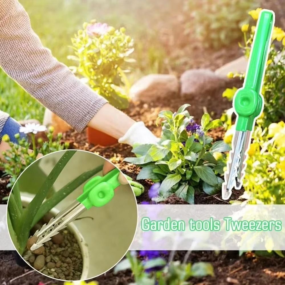 Stainless Steel Gardening Twee - đánh giá và giá Planted Clip Tweezers