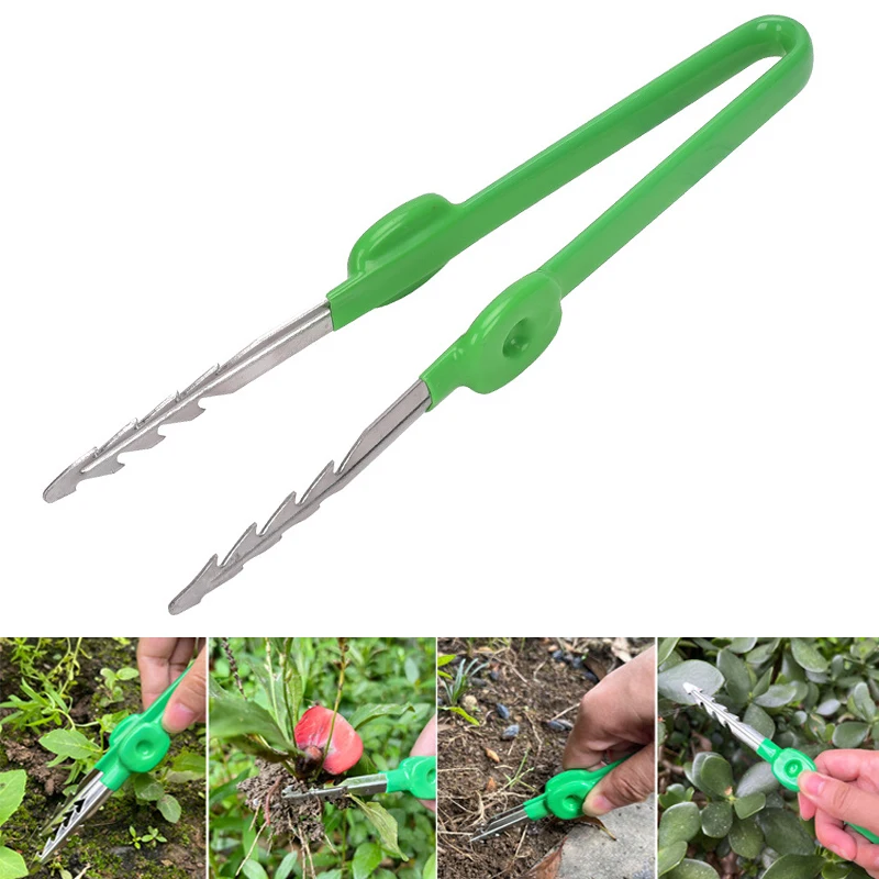 1Pc Gardening Tweezers Succule - đánh giá và giá Planted Clip Tweezers