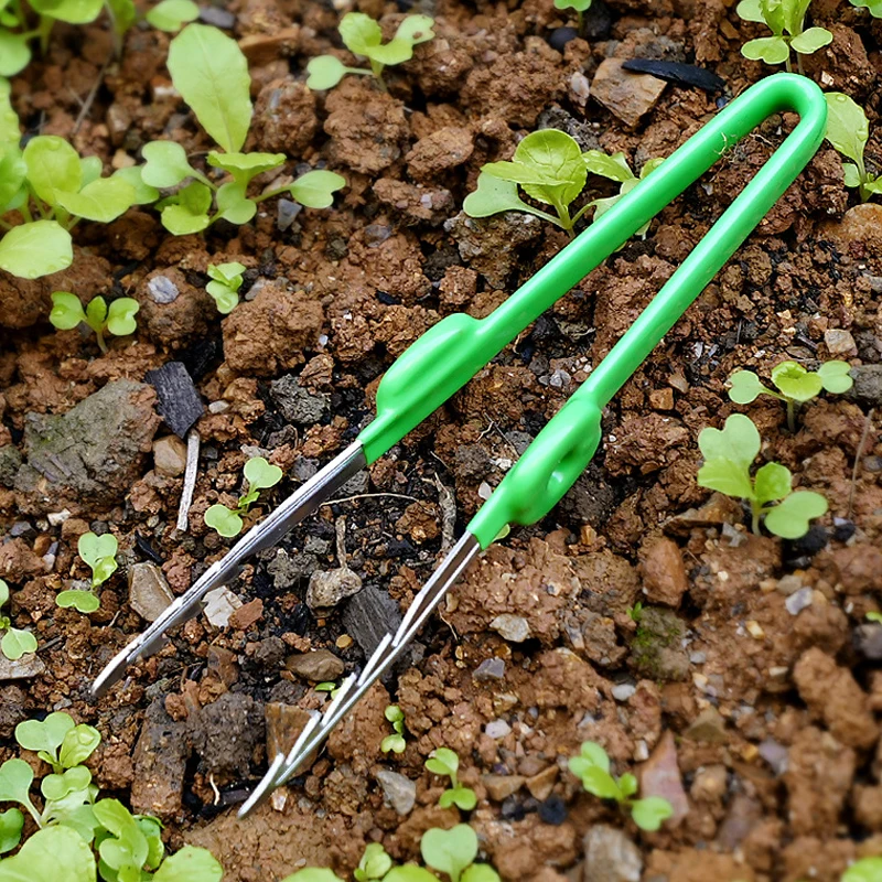 1Pc Gardening Tweezers Succule - đánh giá và giá Planted Clip Tweezers
