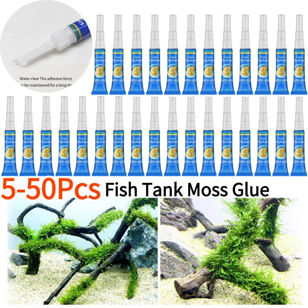 50-5Pcs Fish Tank Landscaping  - đánh giá và giá Aquarium Plant Glue