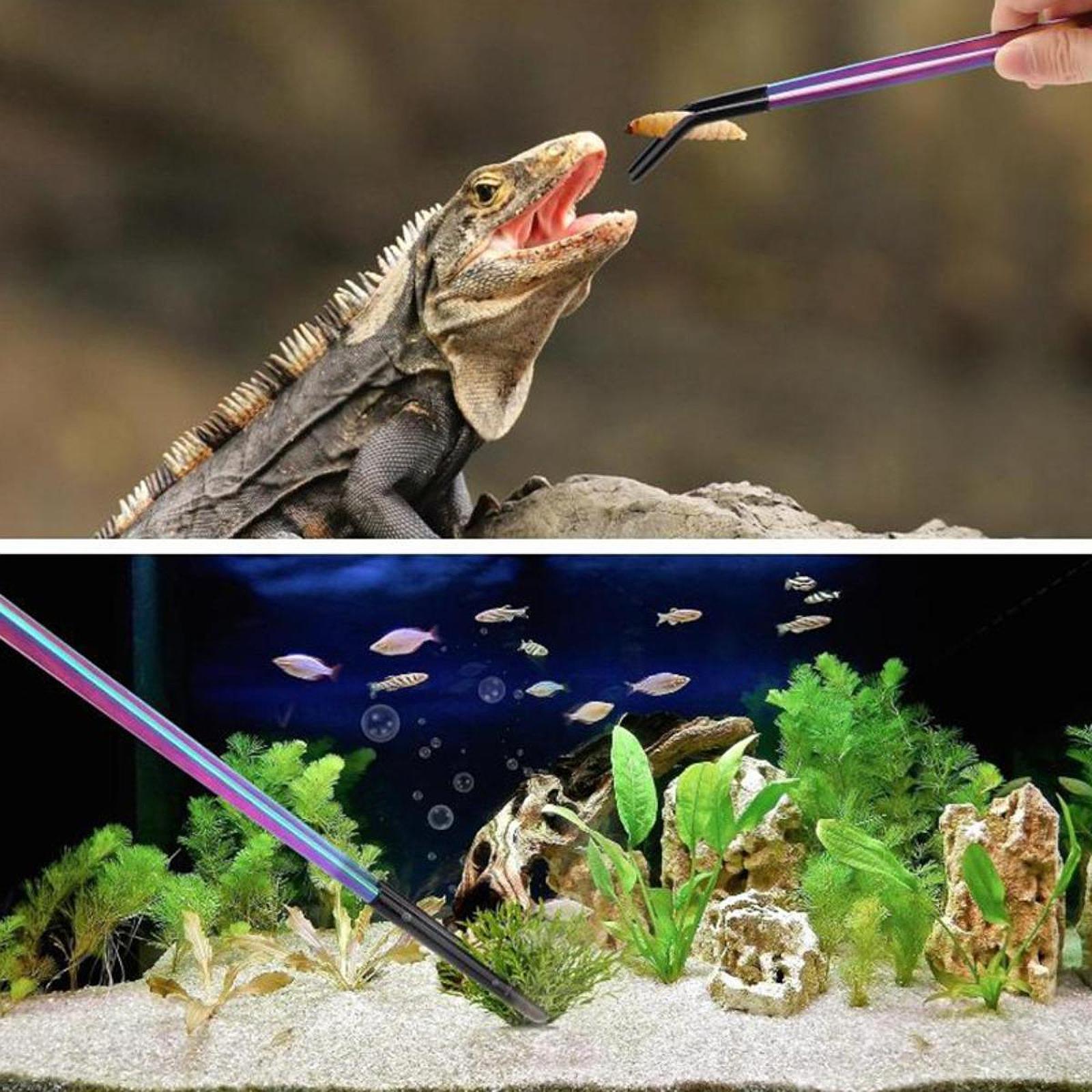Reptile Feeder Tongs with Sili - đánh giá và giá Planted Aquarium Tips