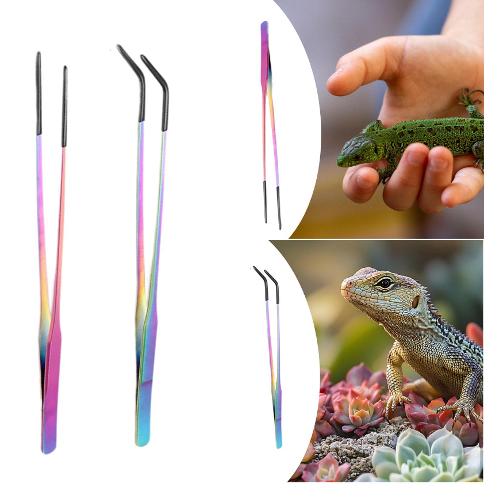 Reptile Feeder Tongs with Sili - đánh giá và giá Planted Aquarium Tips