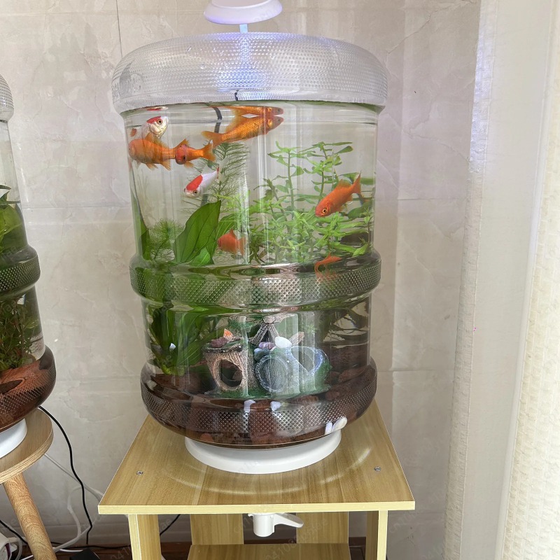 Instant Setup Home Fish Tank 3 - đánh giá và giá Aquarium Planted Tank Setup